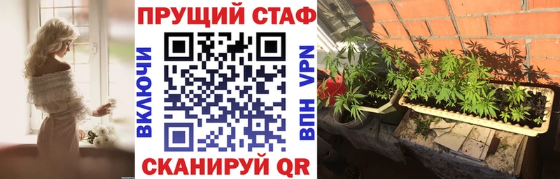 Сколько стоит Жердевка ГАШ  КОКАИН  Меф  Канабис 