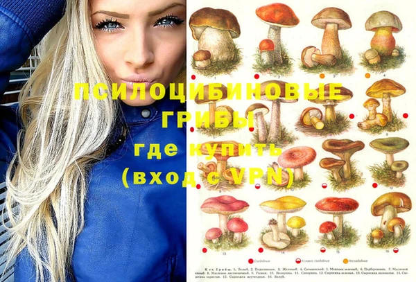 тгк Михайловка