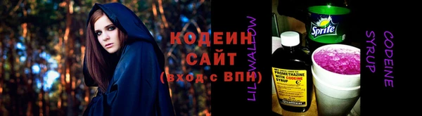 хмурый Михайловск