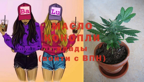 хмурый Михайловск