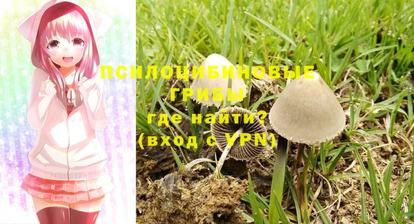марки nbome Медвежьегорск