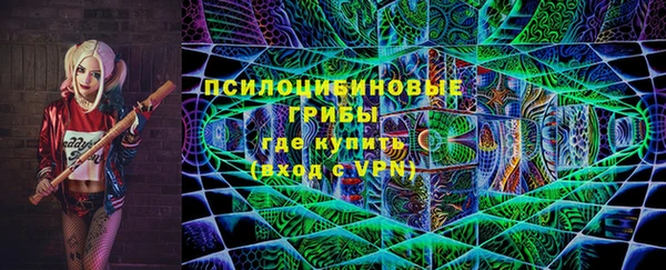 хмурый Михайловск