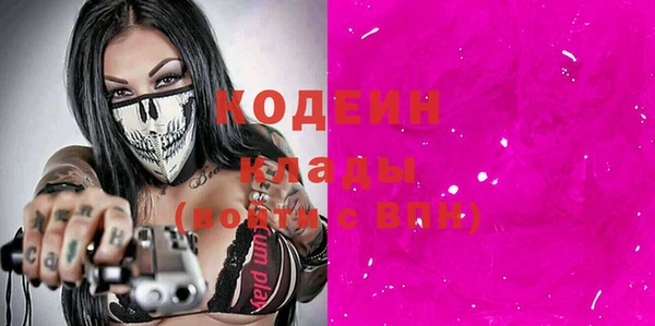 хмурый Михайловск