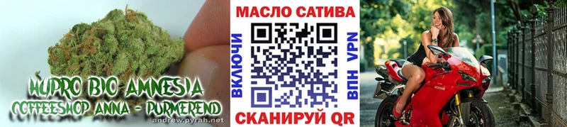 блэк спрут рабочий сайт  Жердевка  Дистиллят ТГК концентрат 