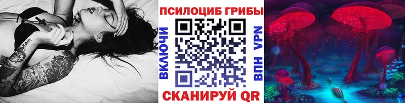Галлюциногенные грибы Cubensis  закладки  blacksprut рабочий сайт  Жердевка 